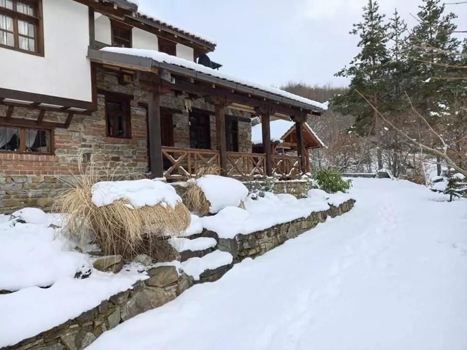Traditional Cottage - Vila Samovila Delcevo Exterior photo