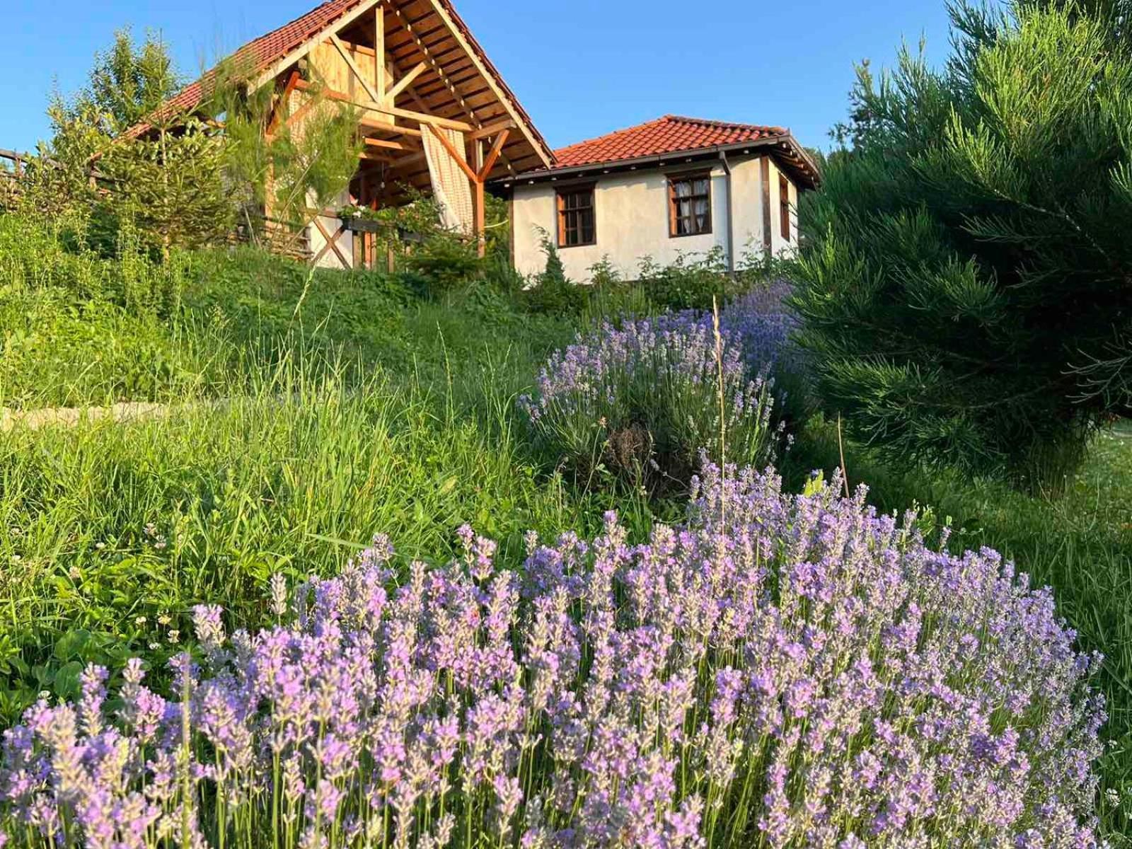 Traditional Cottage - Vila Samovila Delcevo Exterior photo