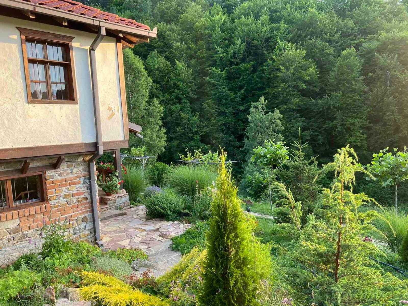 Traditional Cottage - Vila Samovila Delcevo Exterior photo